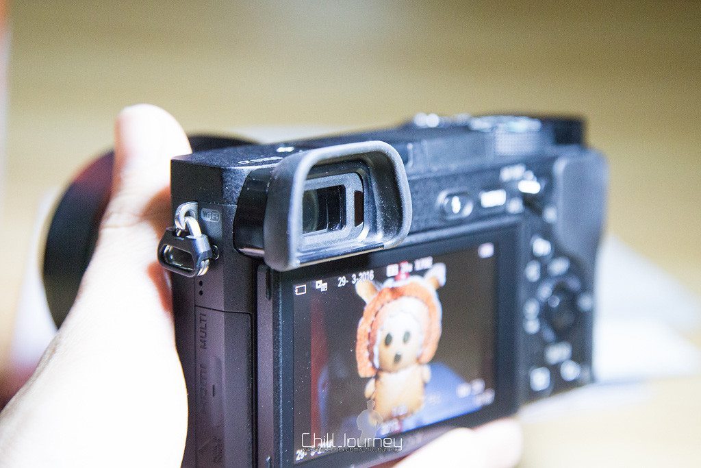 Sony6300_MG_0106