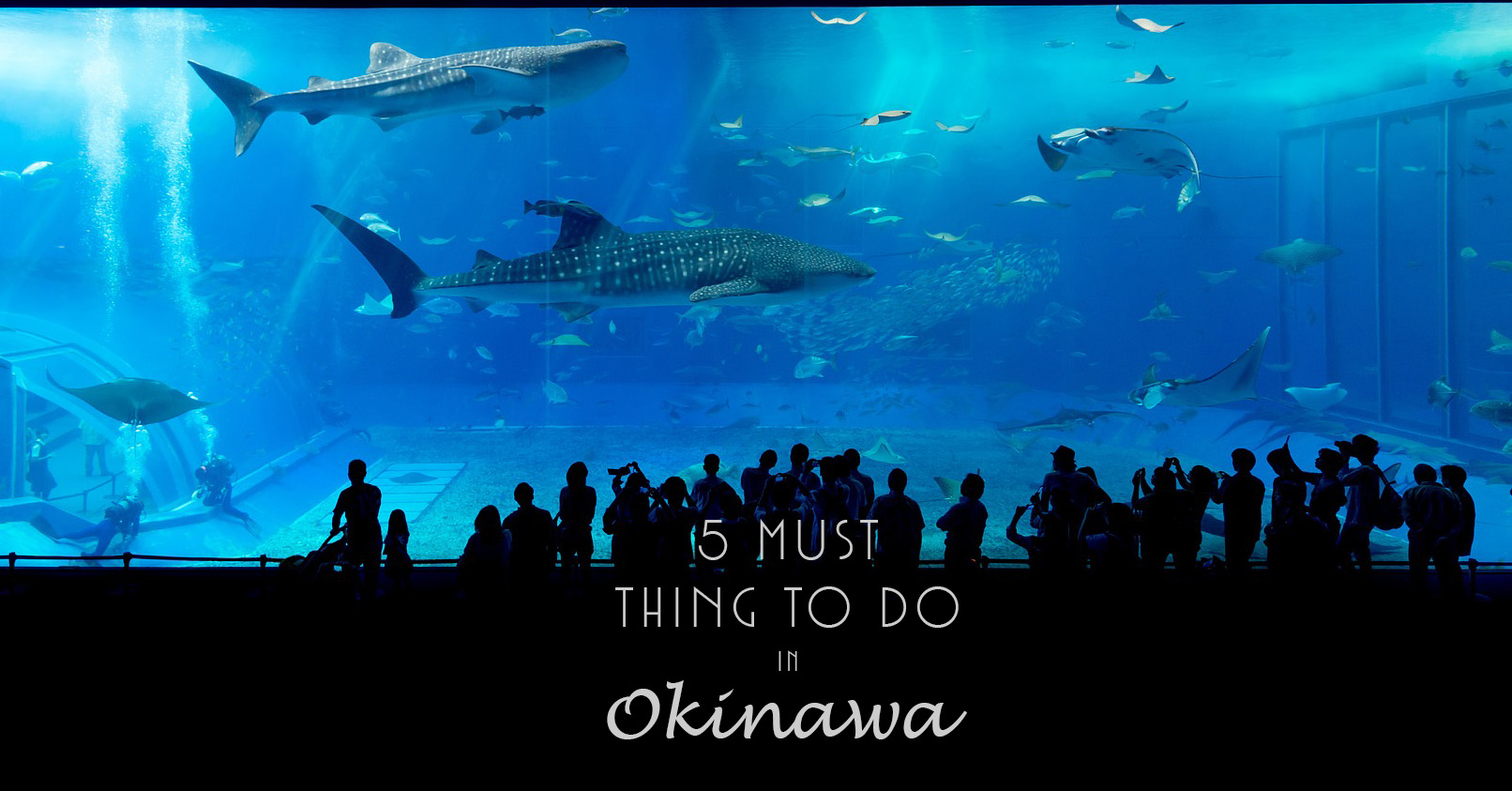Okinawa_blog